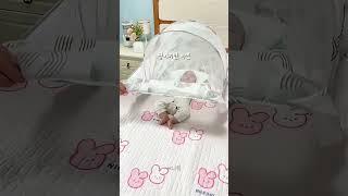 엄만 모기 물려도 괜찮아 너는 절대 지켜 #쿠팡꿀템 #육아템 #모기 #아기 #모기장 #여행템