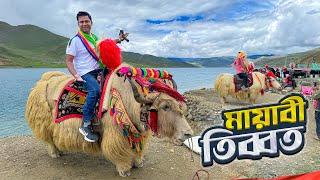 তিব্বতের পাহাড়ি জনপদের অপরূপ সৌন্দর্য || Yamdrok Lake || Kambala Pass || Tibet