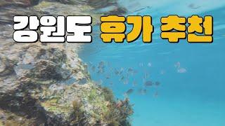 [여행Vlog] [SUB]동남아 부럽지 않은 강원도 여름휴가🩴 | 삼척 | 강릉 | 평택 | 강원도여행