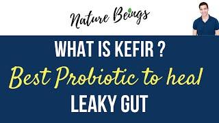 What is Kefir ? Best Probiotic to heal Leaky Gut