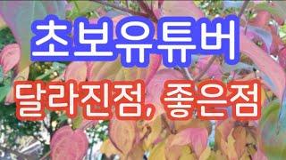 초보유튜버, 초보 유튜버 꿀팁, 유튜버 시작, 신입유튜버, 유튜브초보, 유튜버 되는법, 초보유튜버 수익