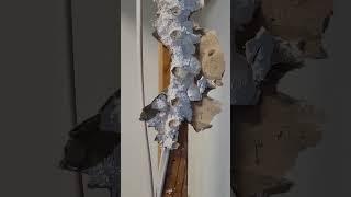 Found a few suprises demoing the drywall: Garage Workshop Build