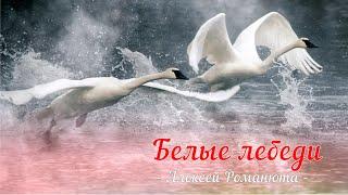 Алексей Романюта - БЕЛЫЕ ЛЕБЕДИ .