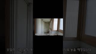 신혼집 인테리어  8일차/ 신혼 구축 아파트 이렇게만 인테리어하면 24평이라도 넓어보이네요!  #shorts