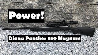 #Diana #Panther 350 #Magnum CBB #Luftgewehr Review Shooting Test