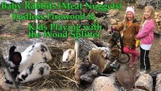 Baby Rabbits (Meat Nuggets), Endless Firewood & Kids Playing with the Wood Splitter