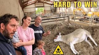 Farming – Wins & Losses