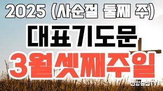 주일대표기도문/사순절둘째주대표기도/예배기도문/대표기도작성법/대표기도내용/속회예배기도문/청년예배기도문/수요예배대표기도/대강절대표기도문