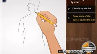 HCL Learning DigiSchool - Diagram Xplorer