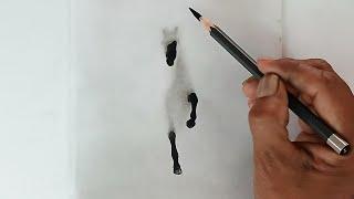 How to draw a running horse creative drawing/ Easy pencil drawing/