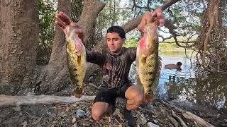 Brutal spearfishing in waters infested with tilapia and whitefish