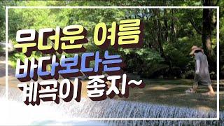 일탈캠핑이 추천하는 #계곡무료차박지#덕동계곡#덕동생태숲 이번 여름은 계곡에서 보내요.