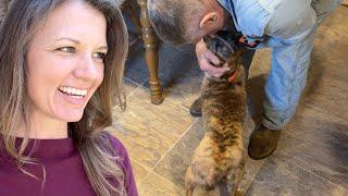Carrying My Weight  ...And Say Hi To Our New Dog, "Dixie" 