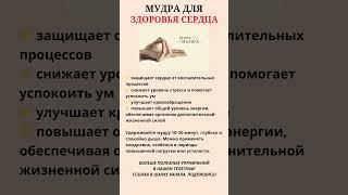 Мудра для здоровья сердца #здоровьесердца #мудры