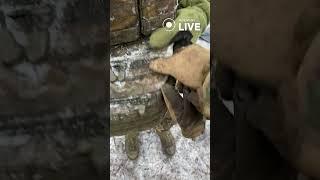 ️Ледяная защита