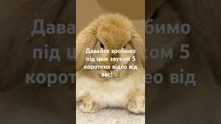 Зробимо???