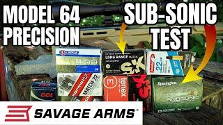Sub-Sonic 22LR AMMO TEST - Savage Model 64 Precision at 100 yards