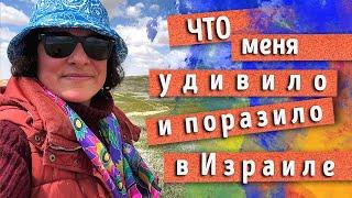 Впечатления НОВОГО РЕПАТРИАНТА спустя три месяца жизни в ИЗРАИЛЕ