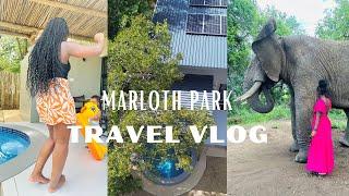 TRAVEL VLOG: Birthday getaway | The Bungalow-Marloth Park | Elephant interaction |Gemelli Restaurant