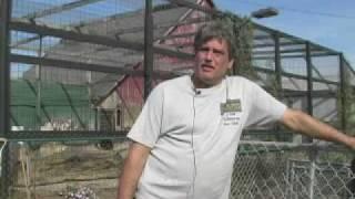 Great Cats of Indiana