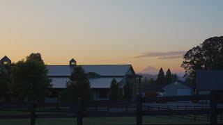 Sonnenberg Farm Tour