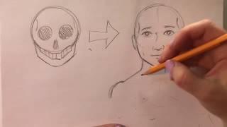 Drawing Facial Structure