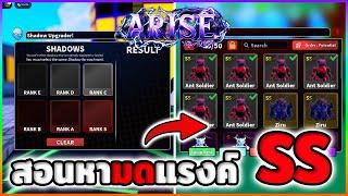 สอนวิธีทำมดให้เป็นระดับ SS | Roblox Arise Crossover