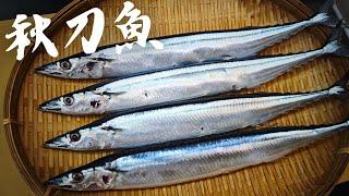 1公斤1490元的魚 爛肚了還做生魚片吃嗎?