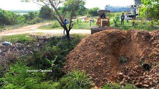 Completed 100% Bulldozer D31P & Truck 5Ton Collaborate take project Pour dry soil​ on Flooded land