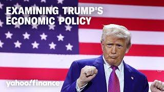 This conservative economist says Trump's economic policies won't work. Here's why.