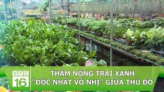 Thăm nông trại xanh “độc nhất vô nhị” giữa thủ đô | VTC16