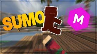 Minecraft Sumo PvP: SumoTage #1 - High-Energy Duels You Can't Miss!