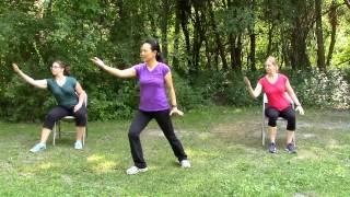 Gentle Tai Chi and Qi Gong - 25 minutes