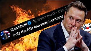 Warum sie Musk verachten.