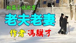  短篇小说欣赏：《老夫老妻》作者：冯骥才 #小说 #听书频道