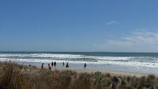 Sunny Pāpāmoa Beach ReportFriday Live from New Zealand