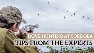 Dove Shooting in Cordoba - Best Tips from Field Manager and Partner: Horace and Jack