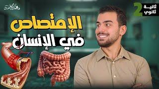 الإمتصاص والتمثيل الغذائى فى 44 دقيقة  { محاضرة 5 أحياء تانية ثانوى }