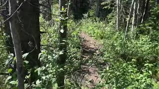 Alberta Vlog #hike day 2 of 9 #Rockies