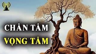 Tâm Bất Biến Tâm Tạo Cảnh - Tâm Loạn Tánh Cảnh Tạo Tâm.