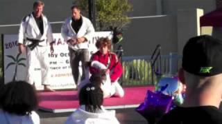 Tidewater BJJ at Brazilian Day