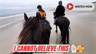 Horses -  Adventure of a Lifetime  !!!! 