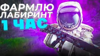 ФАРМЛЮ ОДИН ЧАС ЛАБИРИНТ И ВОТ ЧТО ВЫШЛО! В сталкрафт/StalCraft