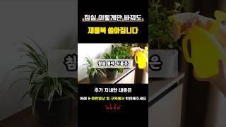 침실 지금 당장 이렇게 바꾸세요!! 나쁜기운 싹사라지고 재물운 쏟아집니다 #풍수 #안방풍수 #생활풍수 #재물복 #대운 #부자