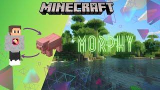 How to Use the Morph Plugin for Your Minecraft Server | lwpMC