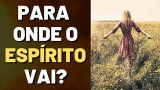 O QUE ACONTECE APÓS A MORTE SEGUNDO O ESPIRITISMO I Canal Espírita Responde #132