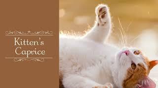 Cute and heartwarming music "Kitten's Caprice" 30min [Royalty Free Music]