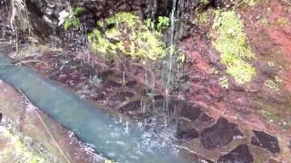 Fuente La Huerta, Natur Quelle in Garafía, La Palma, Kanaren