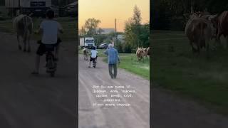 #деревенскаяжизнь