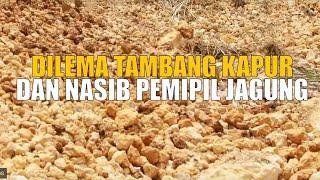 DILEMA TAMBANG KAPUR DAN NASIB PEMIPIL JAGUNG | INDONESIAKU (04/02/25) Part 2